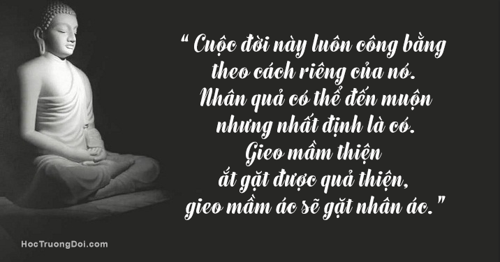 Nhân quả báo ứng của việc thiếu nợ không trả - Học Trường Đời