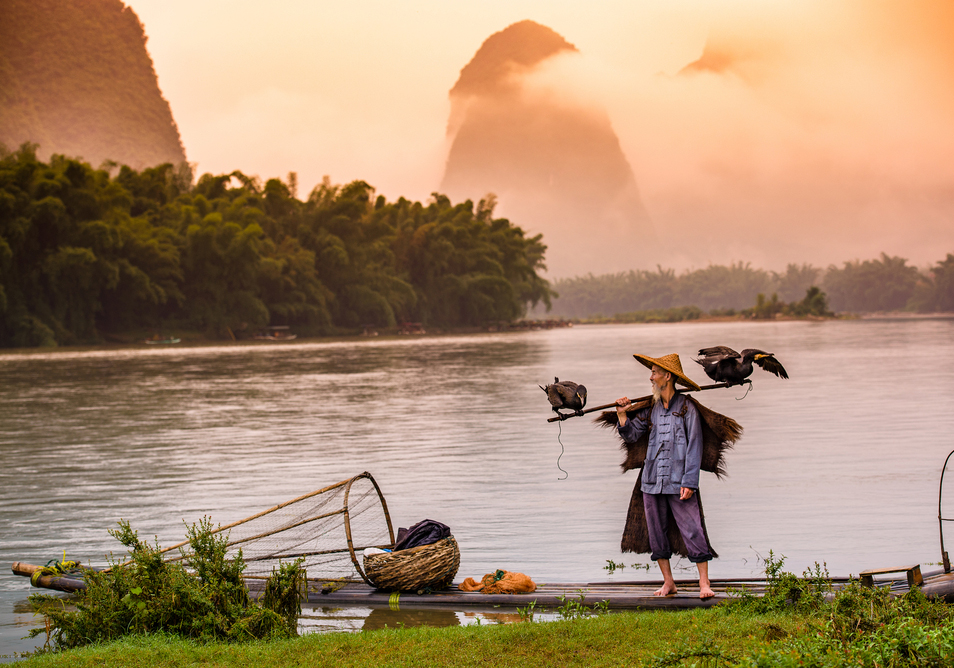 Người có phúc thì không cần vội, người trong họa thì co chân mà chạy