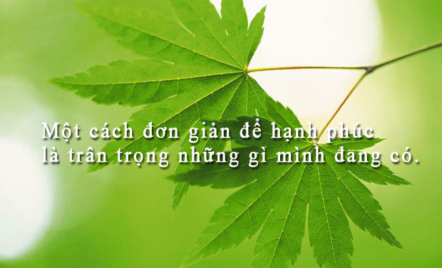 Trưởng thành la biết trân trọng những gì mình đang có