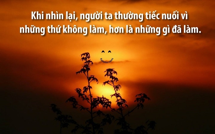 Triết lý sống phải có, nhưng đừng sống quá triết lý! - FuSuSu