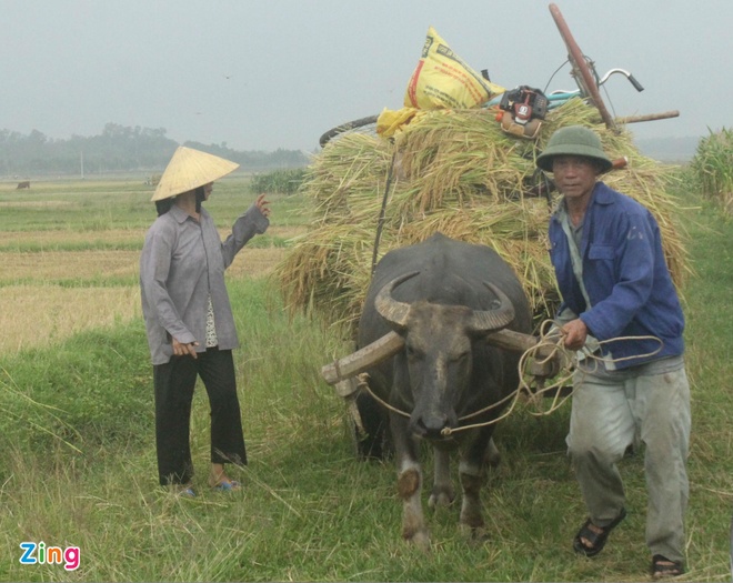 Cuộc sống cơ cực của bố mẹ Công Phượng - Thể thao Việt Nam