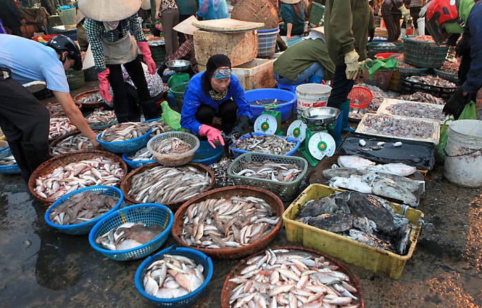 Chợ cá Hạ Long - Chợ hải sản tươi ngon nhất Quảng Ninh